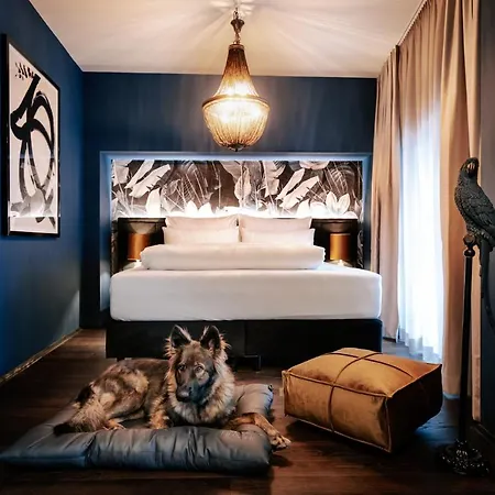Aiola Living Hotel 4*